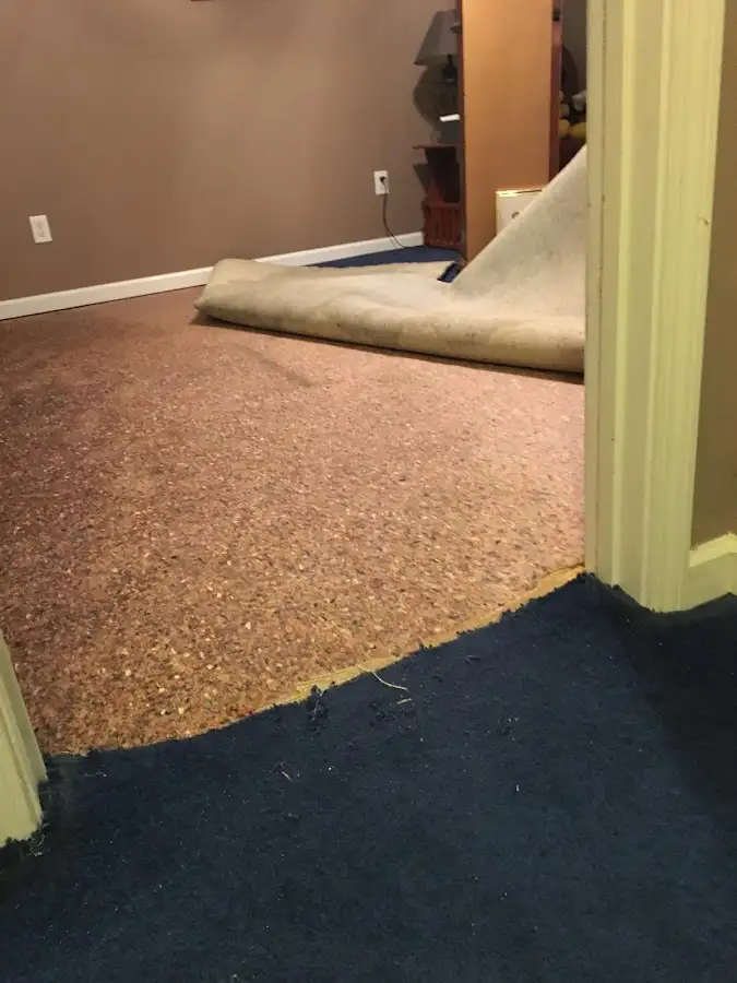 Carpet pad removal revealing water damage during Drying & Dehumidification in Palm Bay