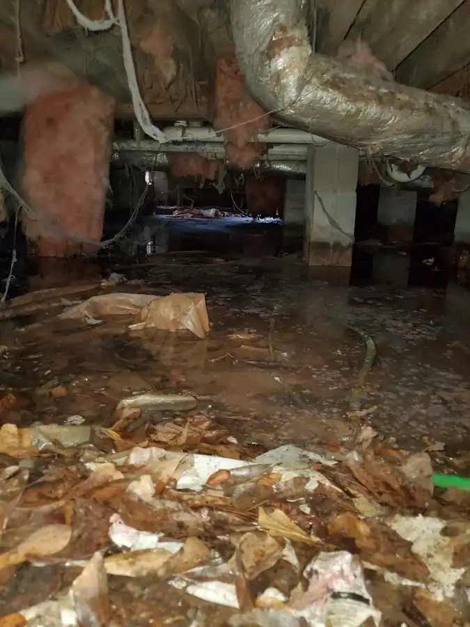 Crawl space flood assessment for Commercial Water Damage Restoration in Palm Bay