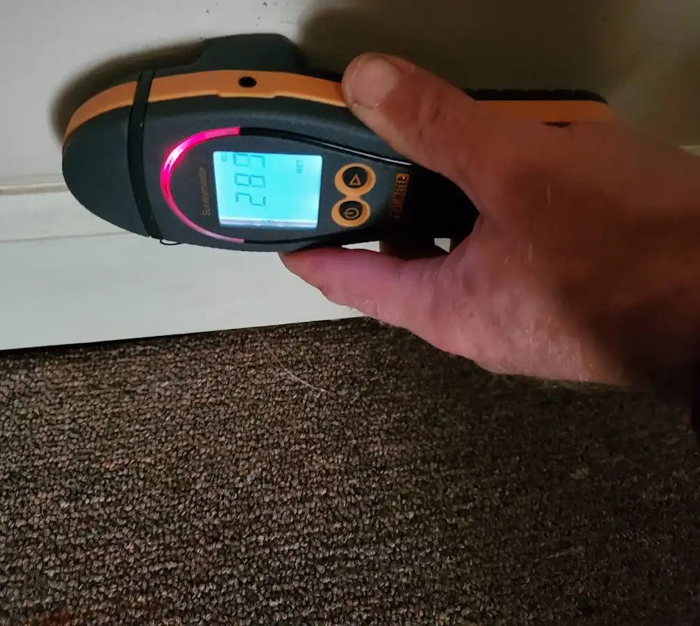 Moisture detection at baseboard during Mold Inspection & Testing in Palm Bay